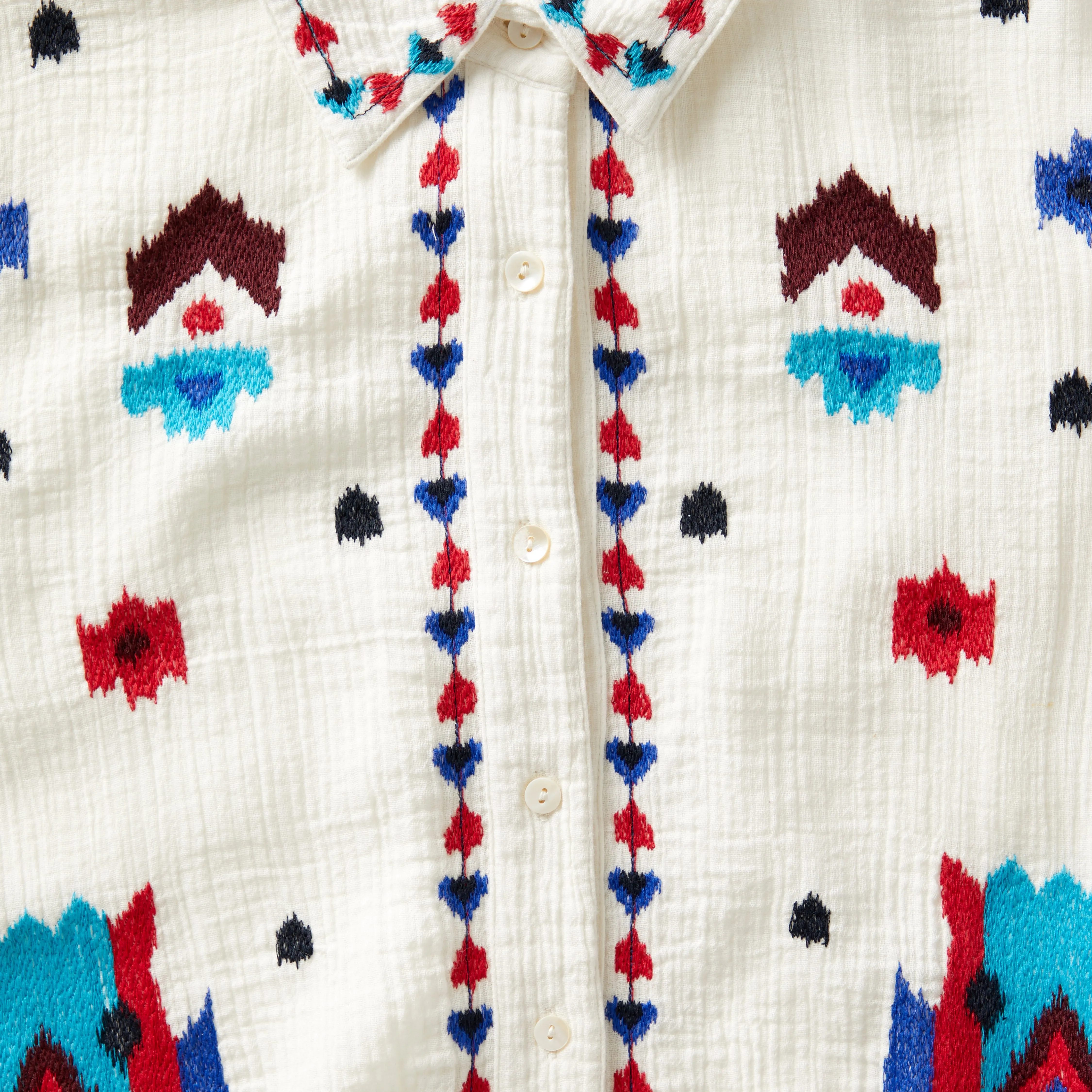 Embroidered Southwestern Shirt