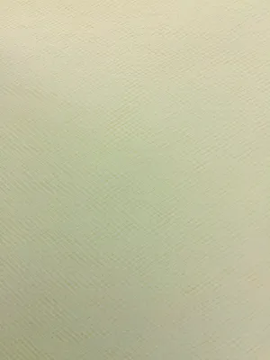 Glimmer Tulle - 108-inches Wide Ivory By the Yard
