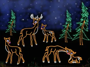 Graceful Deer Scene